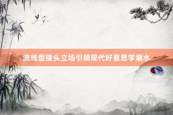 流线型接头立场引颈现代好意思学潮水