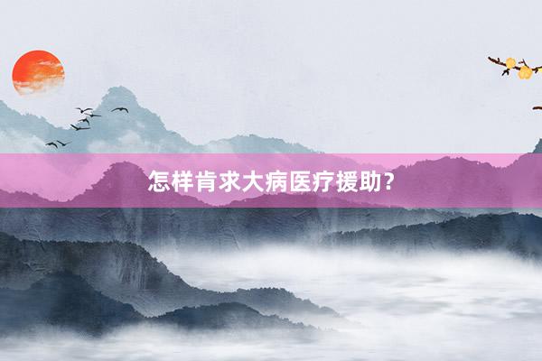 怎样肯求大病医疗援助？